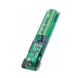 Модуль EverFocus EFM-AL-1A