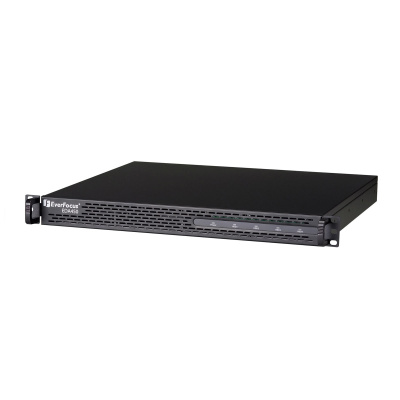 Дисковый массив EverFocus EDA-450