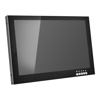 Монитор ACE-H101PS